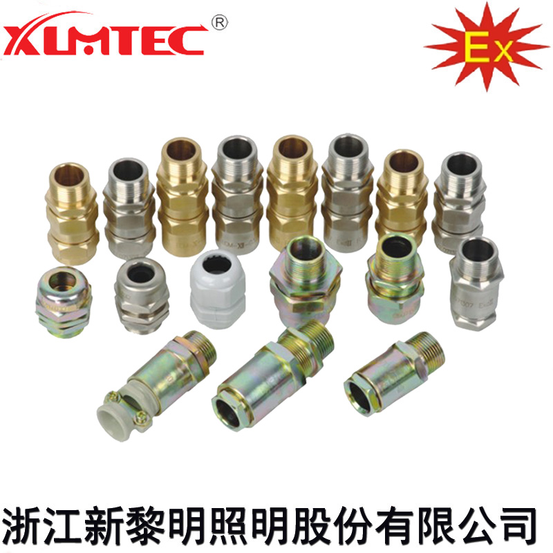 新黎明防爆304加紧接头