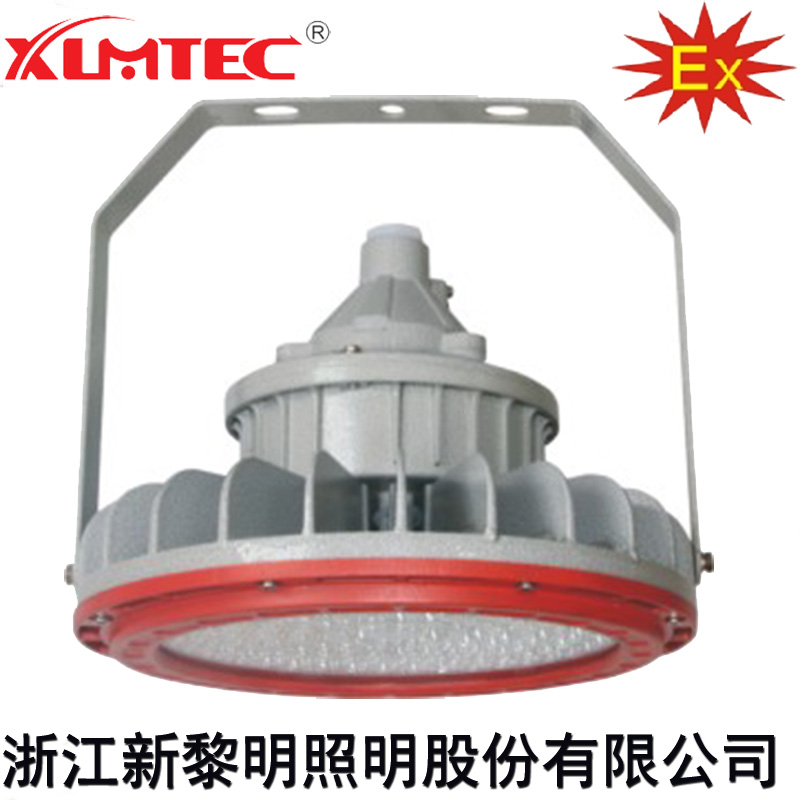 新黎明LED防爆灯100W