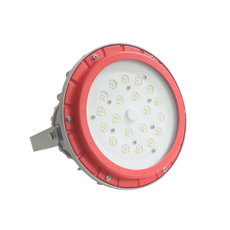 50W新黎明防爆灯