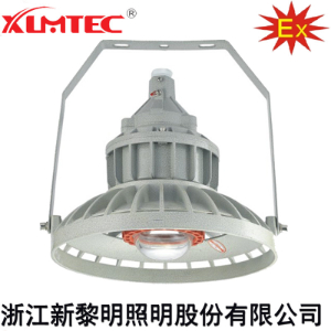 BZD180-106系列防爆免维护LED照明灯(IIC)