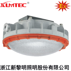 BZD180-111系列防爆免维护LED照明灯(IIC)