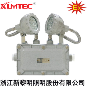 BCJ系列防爆消防应急双头照明灯具(IIC)