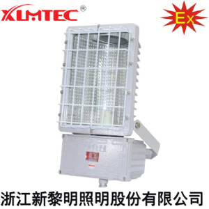 BTd92(C)系列防爆泛光灯(IIB)