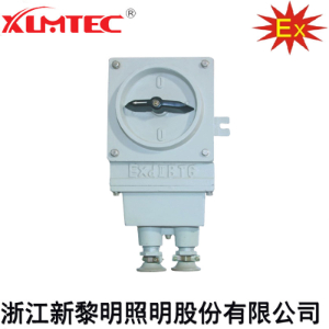 BHZ51系列防爆转换开关(IIB、IIC、Ex tD)