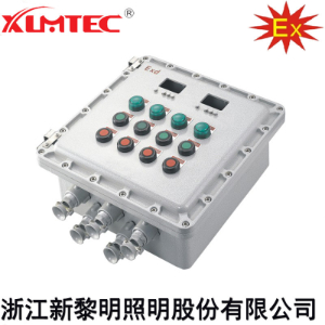 XBK系列防爆控制箱(IIB、IIC、Ex tD)