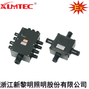 BJX8030系列防爆防腐接线箱€