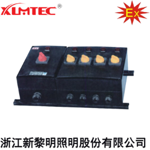 BXM(D)8030系列防爆防腐照明(动力)配电箱(IIC、Ex tD)