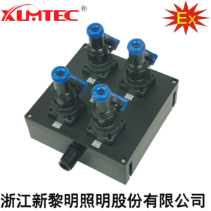 BXS8030系列防爆防腐电源插座箱(IIC、Ex tD)